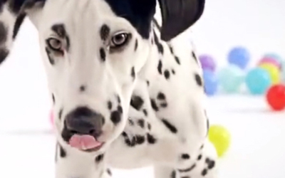 Taschen & Accessoires