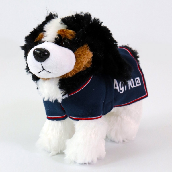 Plschhund mit Decke in der Gruppe Hund bei Agria Tierversicherung (AGR1177)