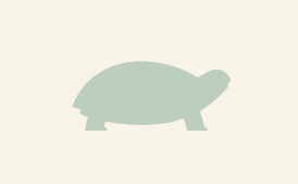 Dressurschabracke, Wei oder Blau