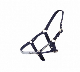 Fohlenhalfter mit Reflex