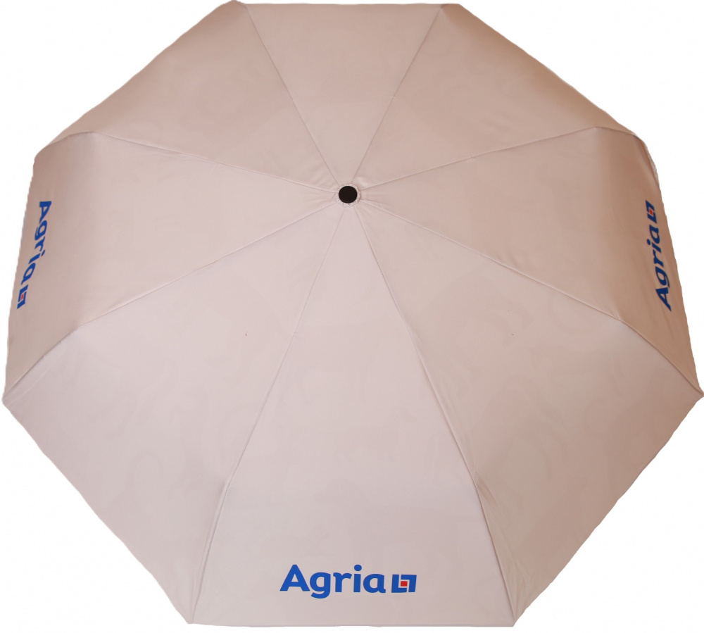 Sturmsicherer und faltbarer Regenschirm